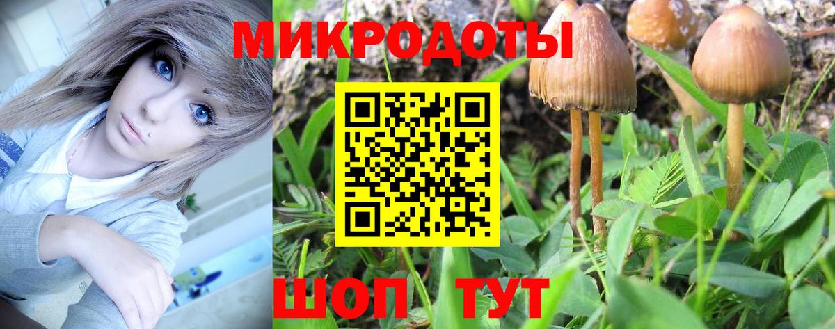 Трёхгорный  закладка  Вход с VPN  Галлюциногенные грибы Cubensis 